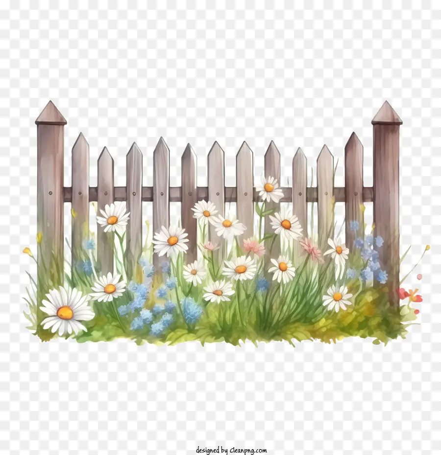wooden garden fence flowers grass fence watercolor