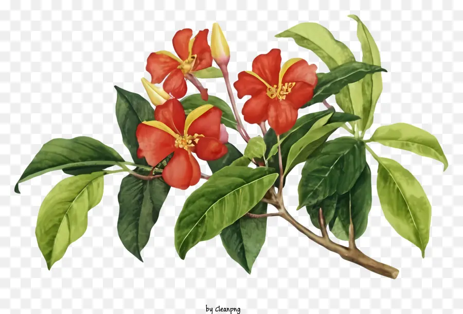 Cartoonbaum rote Blüten grüne Blätter spitze Spitzenspitzen - Rote Blüten auf Baum mit grünen Blättern