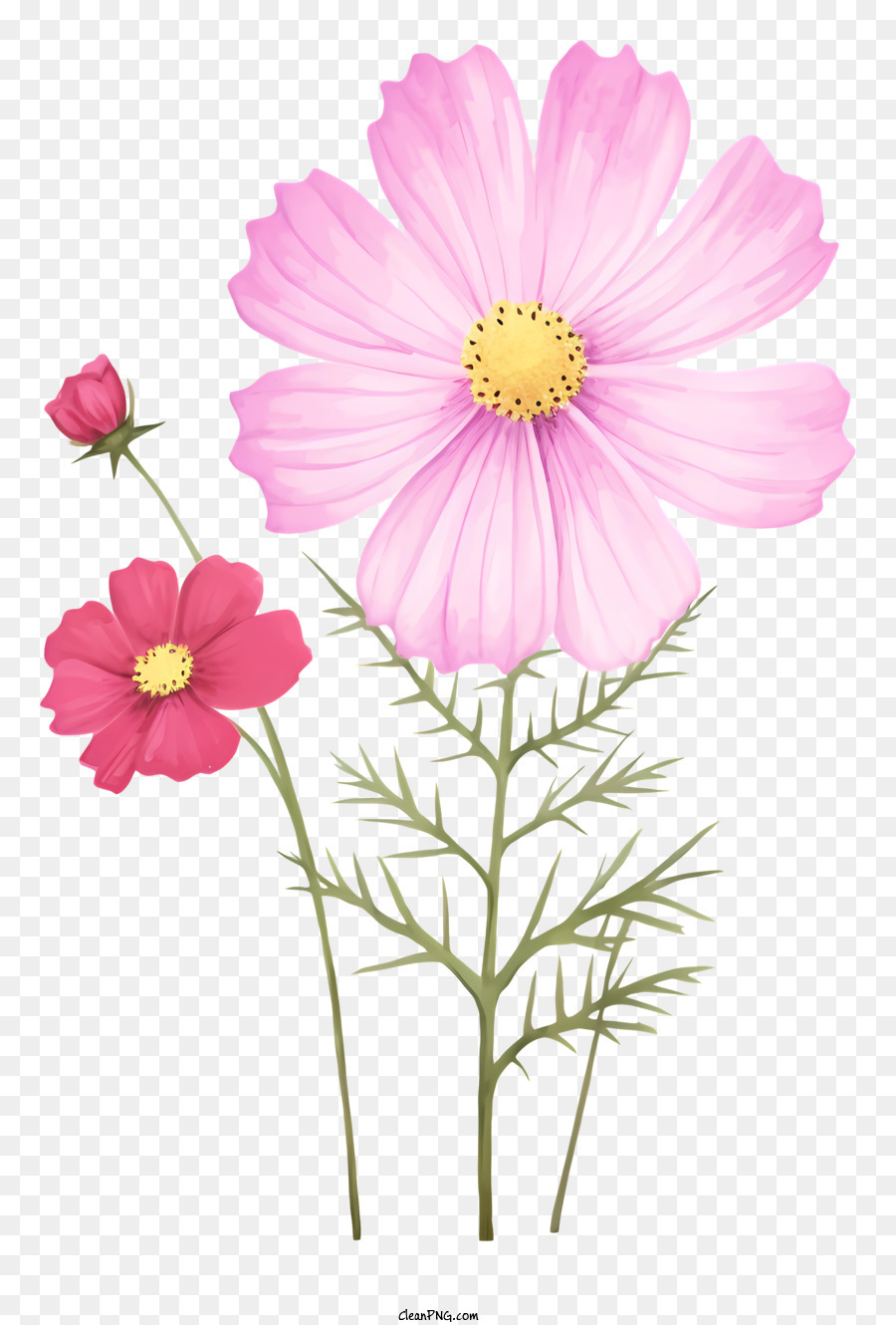 la disposizione dei fiori - Fiori rosa in vaso e sugli steli