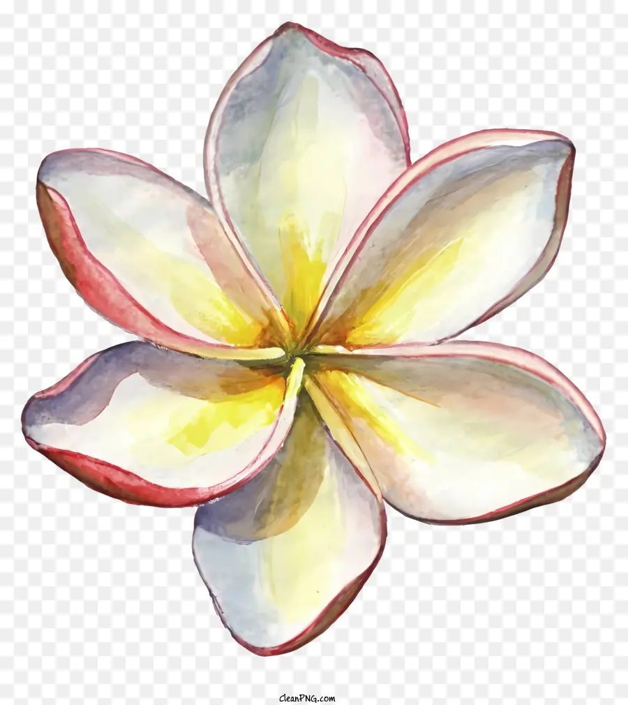 Fiore Di Nozze - Delicato fiore bianco e rosso per eventi speciali