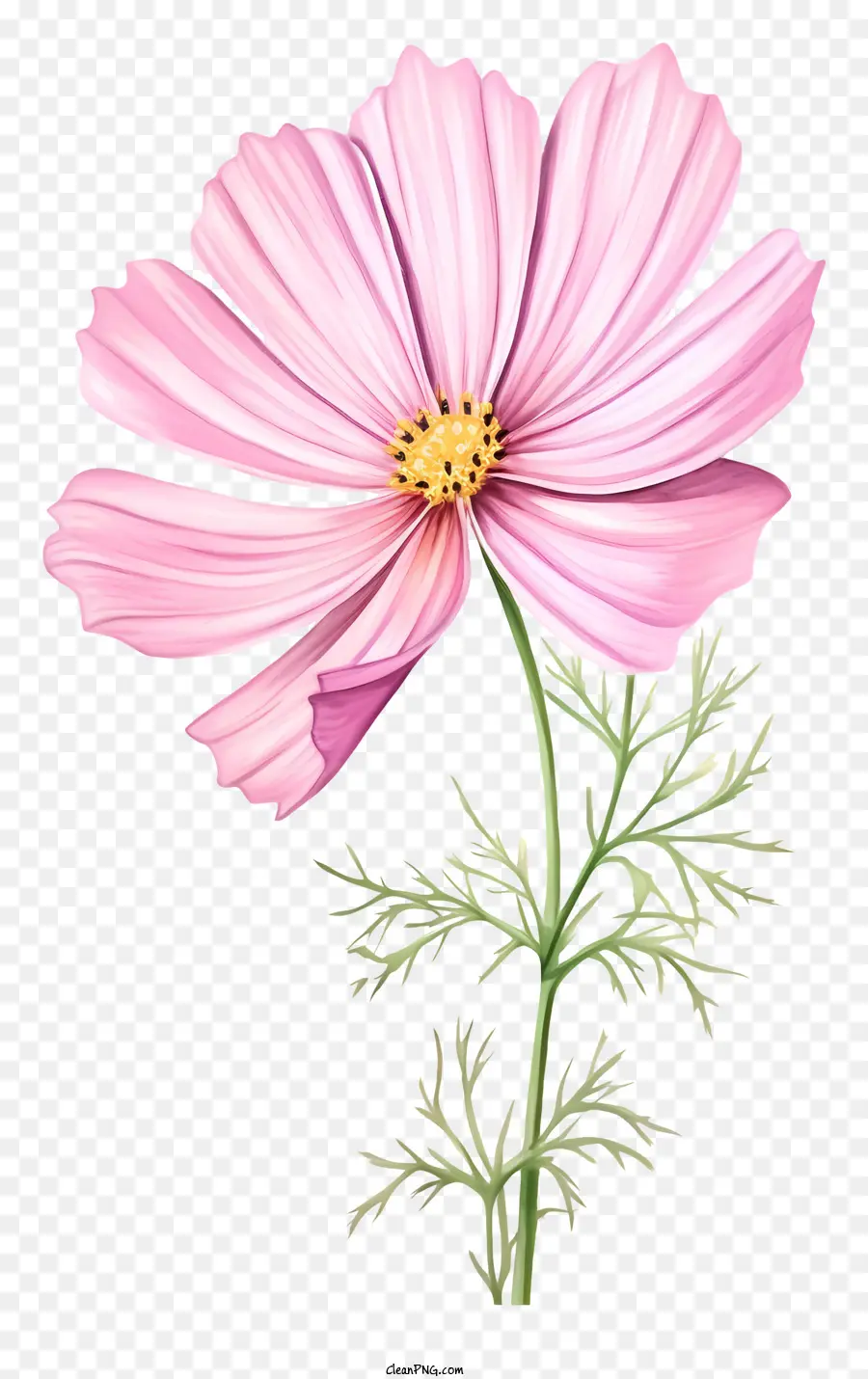 rosa Blume - Große rosa Blume mit grünen Blättern zeigt die Natur