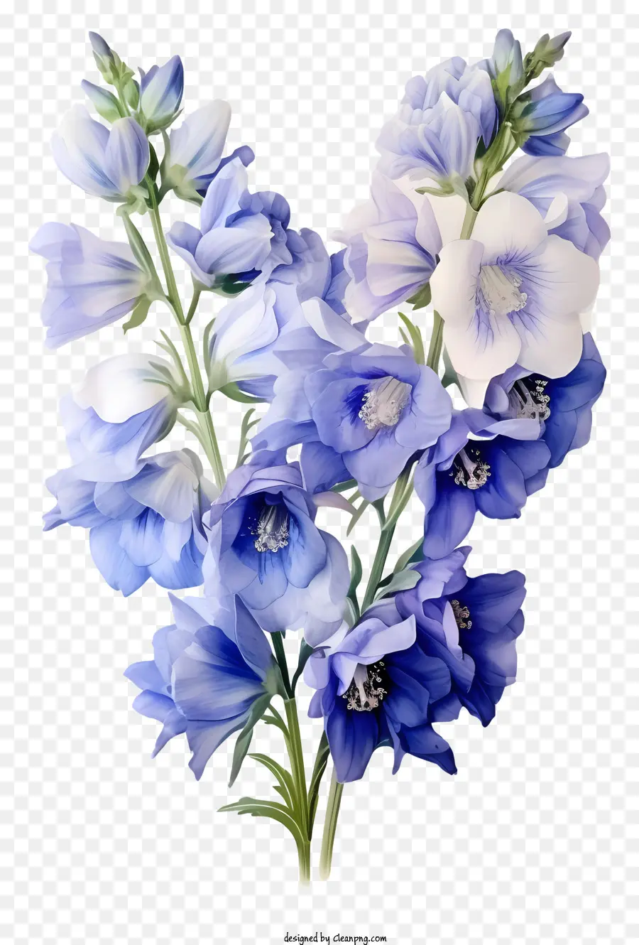 hoa màu xanh - Cận cảnh hoa màu xanh với cánh hoa trắng