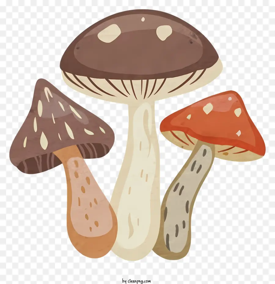 funghi cartoni animati che disegnano tre colori - Disegno realistico di tre funghi colorati sul nero