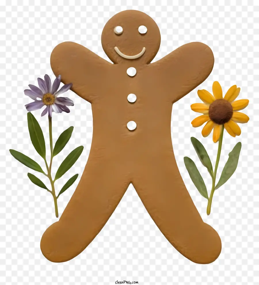 bánh gừng - Gingerbread Man With Icing trong lĩnh vực hoa