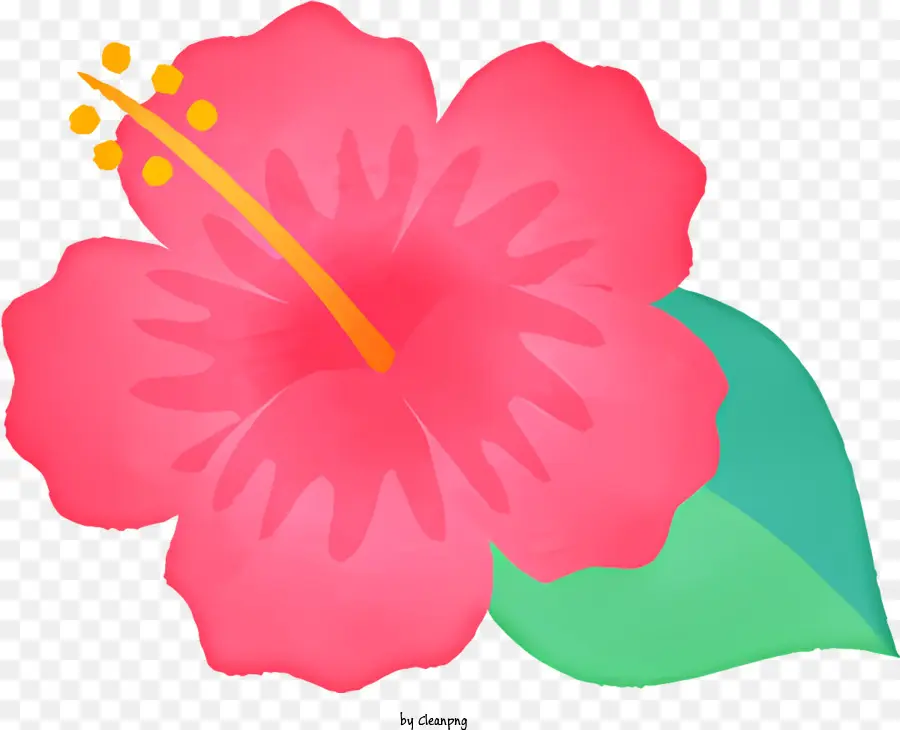 cartoon pink hibiscus flower green stem and leaves five-petaled hibiscus flower no leaves on hibiscus stem