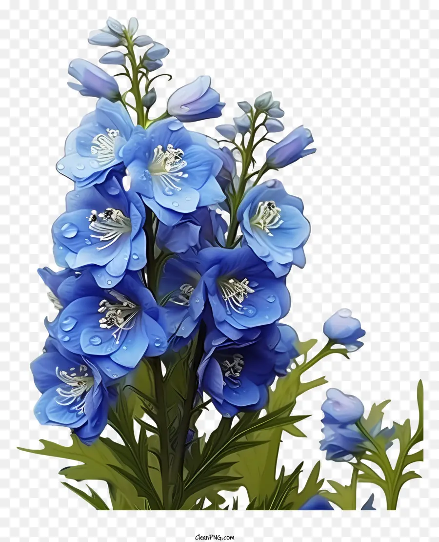 fiore blu - Fiore blu ravvicinato con gocce d'acqua sui petali