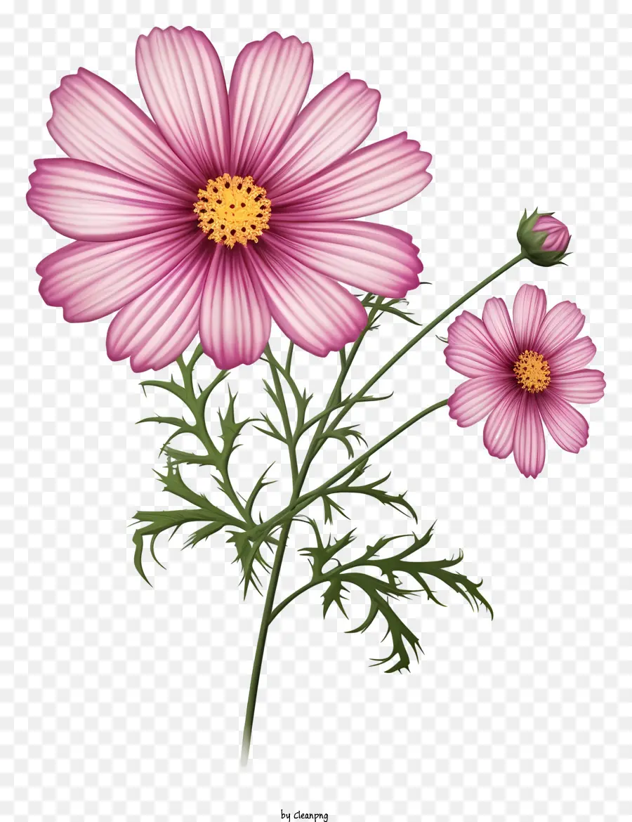 fiore rosa - Singolo fiore rosa con due foglie verdi
