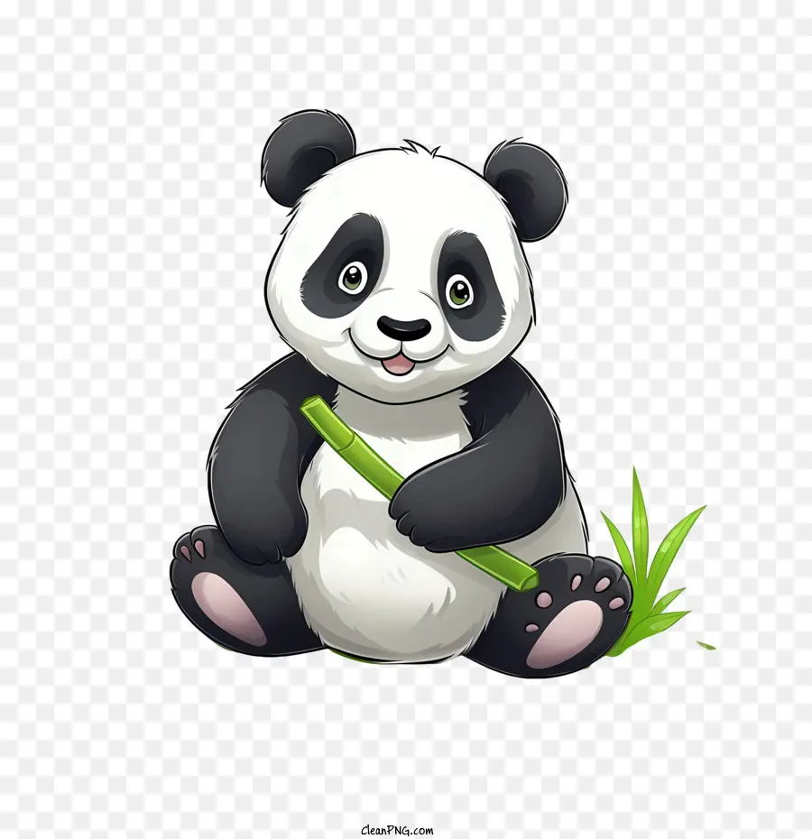 Panda - 