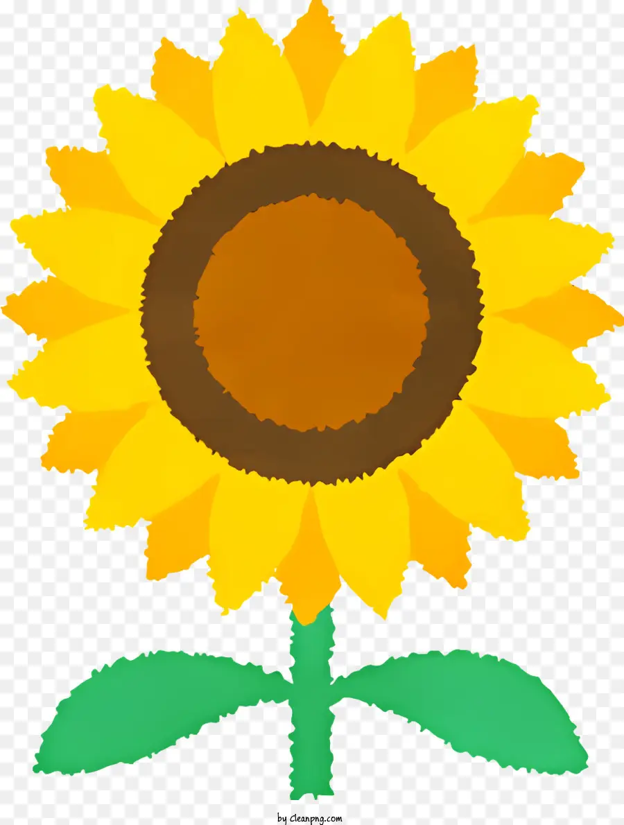 grünes Blatt - Sonnenblumenbild mit grünem Blatt und braunem Zentrum
