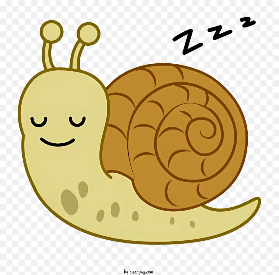 cartone animato lumaca marrone piccola lumaca lumaca con gli occhi chiusi - Snail marrone con occhi chiusi su sfondo bianco