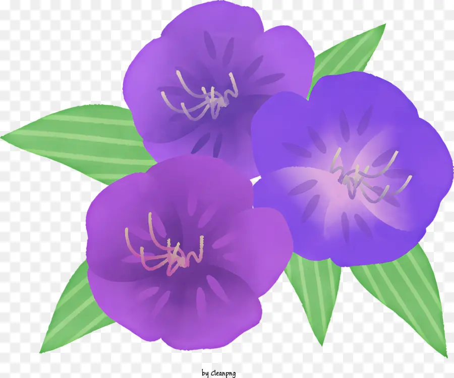 Cartoon Purple Fiori foglie verdi steli crescenti - Grandi fiori viola con foglie verdi e steli