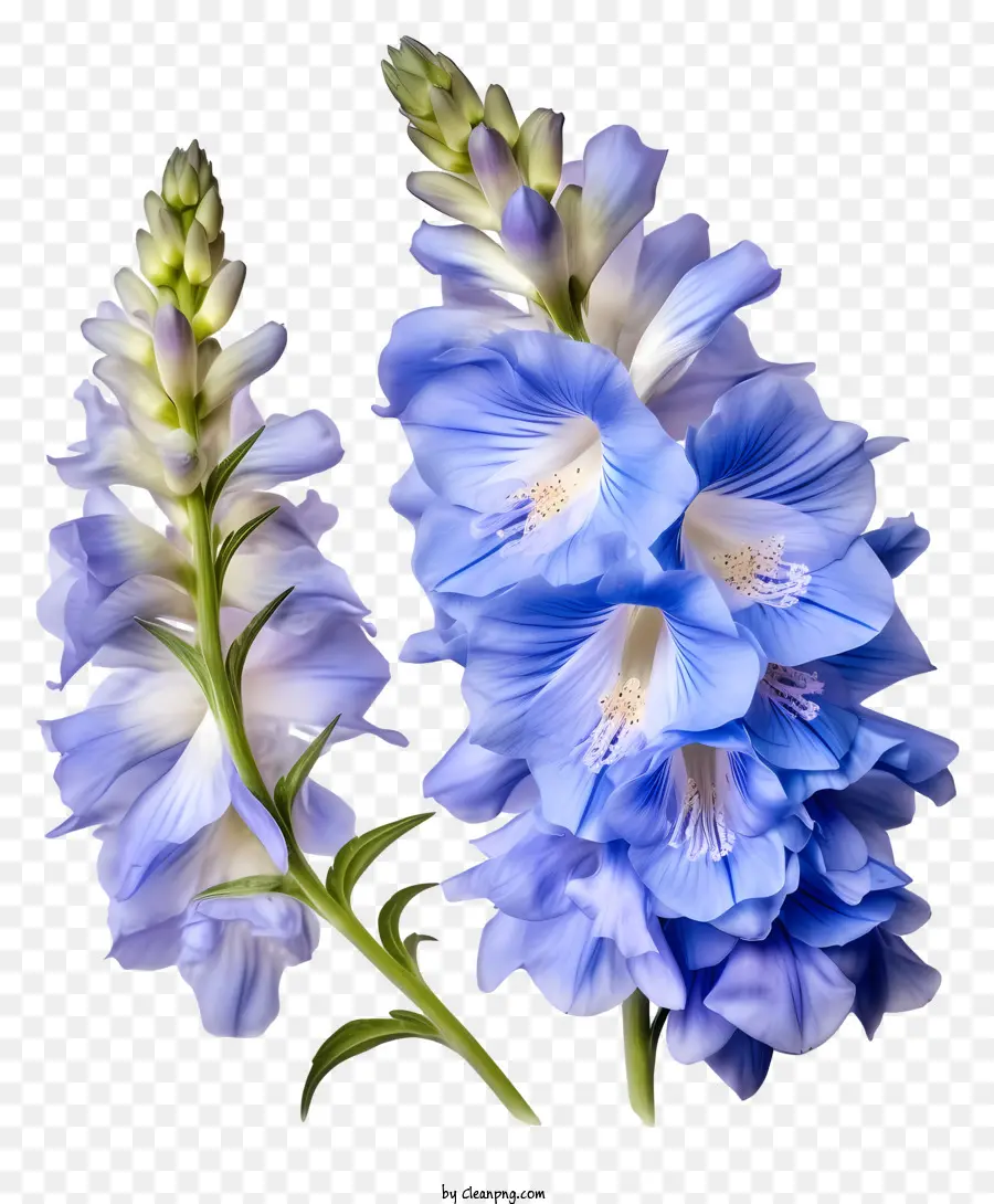 Gesteck - Zwei blaue Blumen, ein Weiß und Rosa