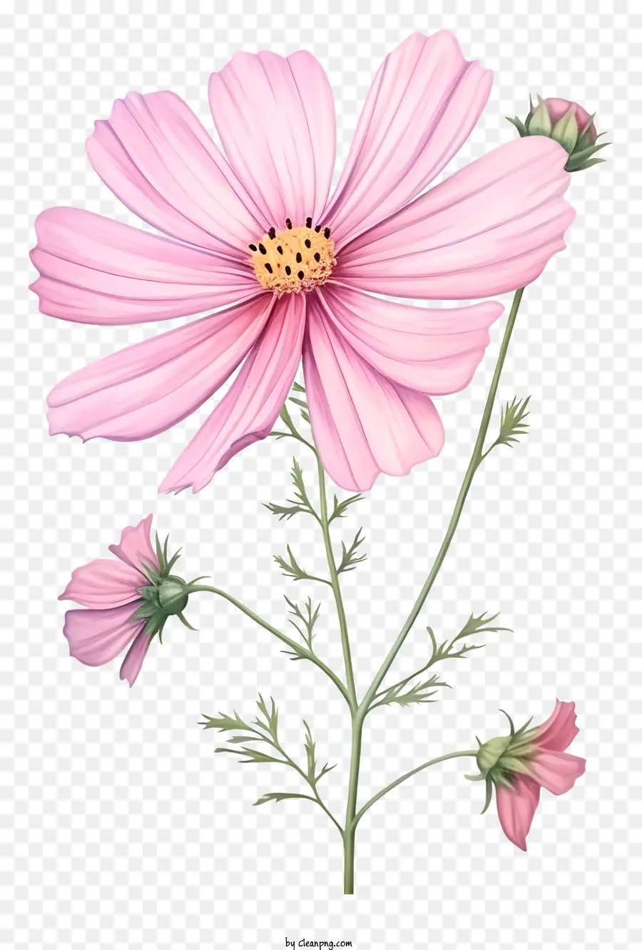 rosa Blume - Realistisches Bild der rosa Blume mit grünen Blättern