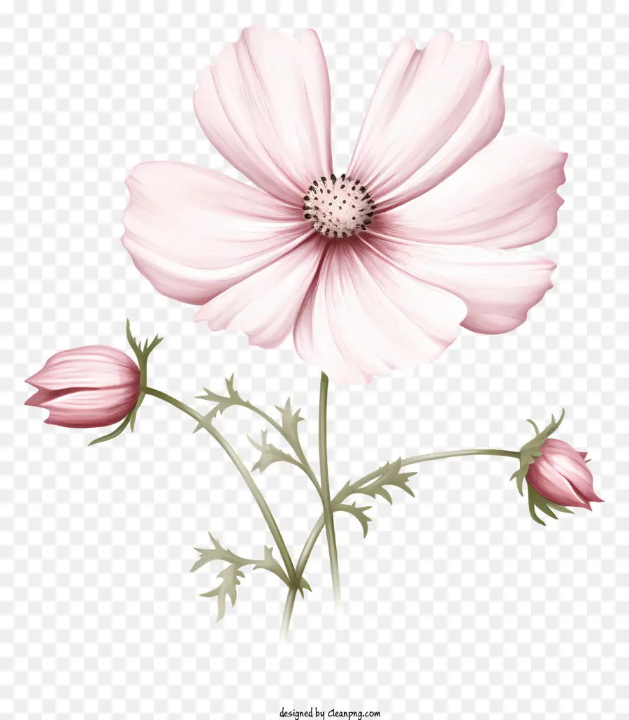 rosa Blume - Rosa Blume mit dünnem Stiel und grünes Blatt