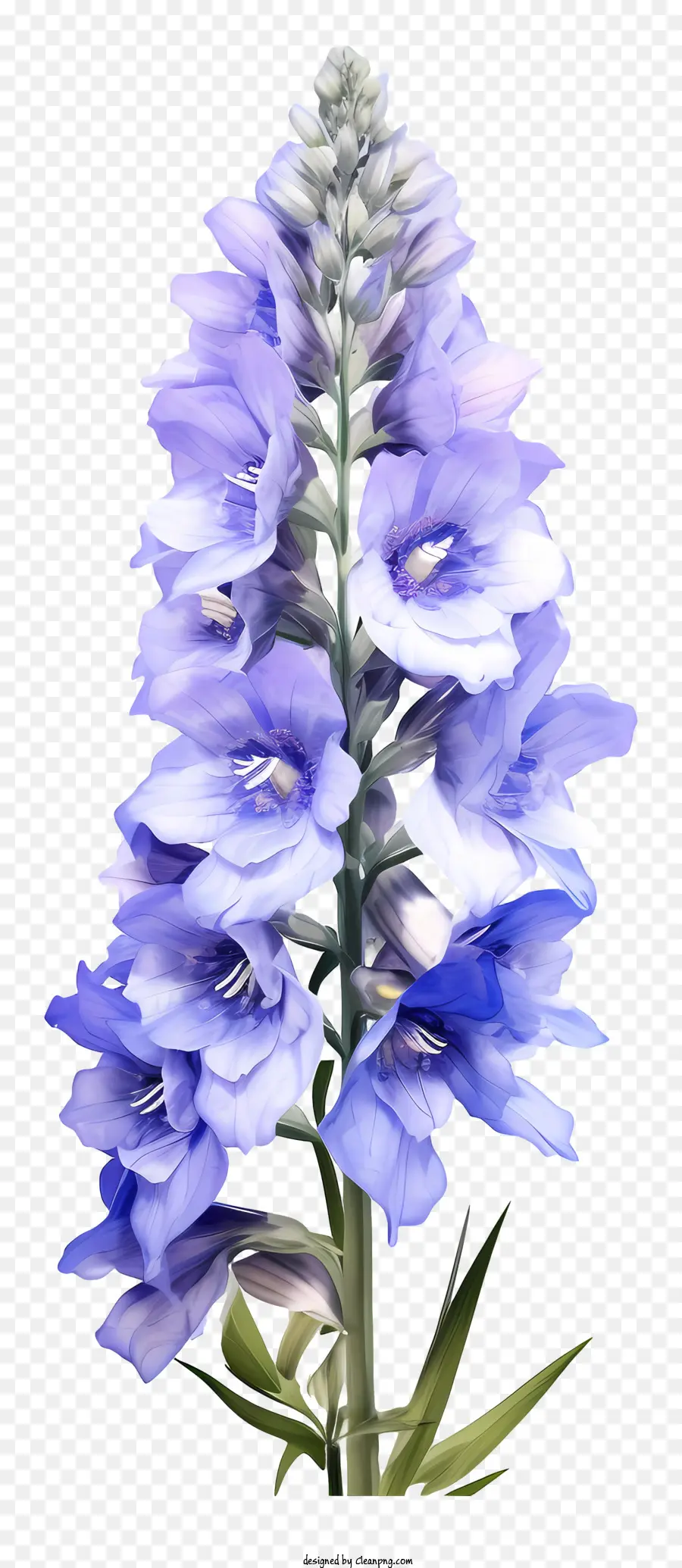 fiore blu - Fiore blu con petali chiusi e foglie verdi