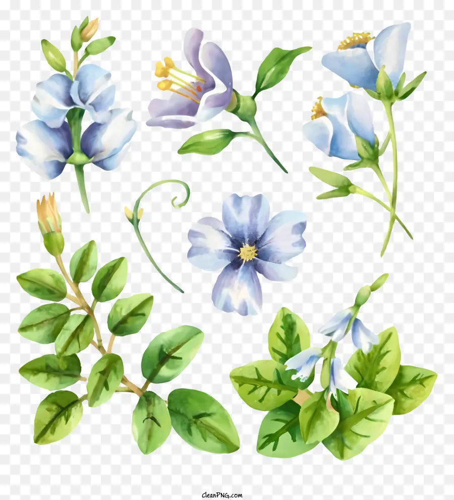 Gesteck - Blaue und grüne Blüten mit gekräuselten Blütenblättern