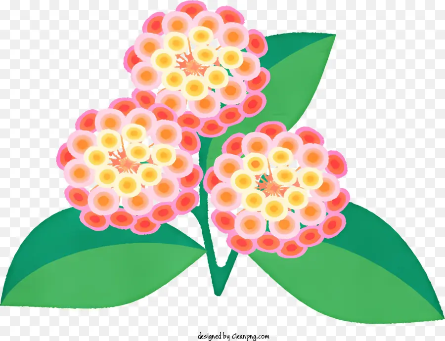 Blume, Abbildung - Rosa Wildblume mit kleinem weißem Zentrum am Stiel