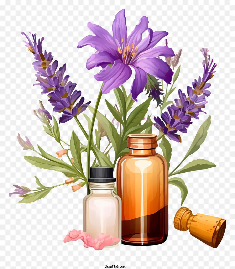 Lavendel - Sammlung natürlicher ätherischer Öle und Kräuter
