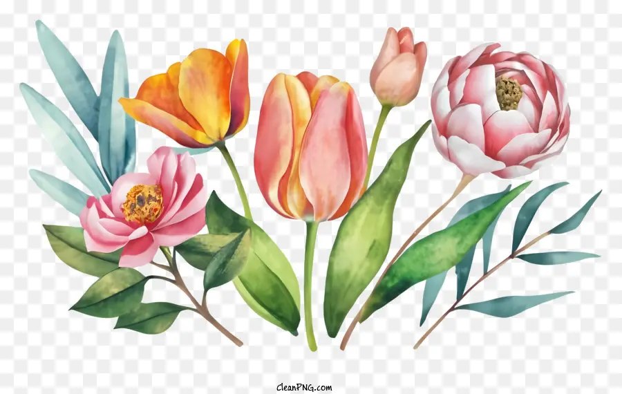 Cartoon Tulips Bouquet Farbige Tulpen Pink Tulpen - Buntes Tulpestrauß mit gekräuselten Blütenblättern und welligen Blättern