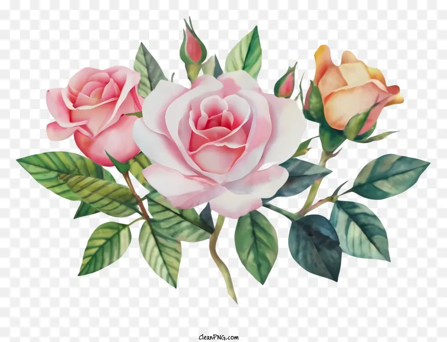 hoa sắp xếp - Tranh ba hoa hồng màu hồng trên nền đen