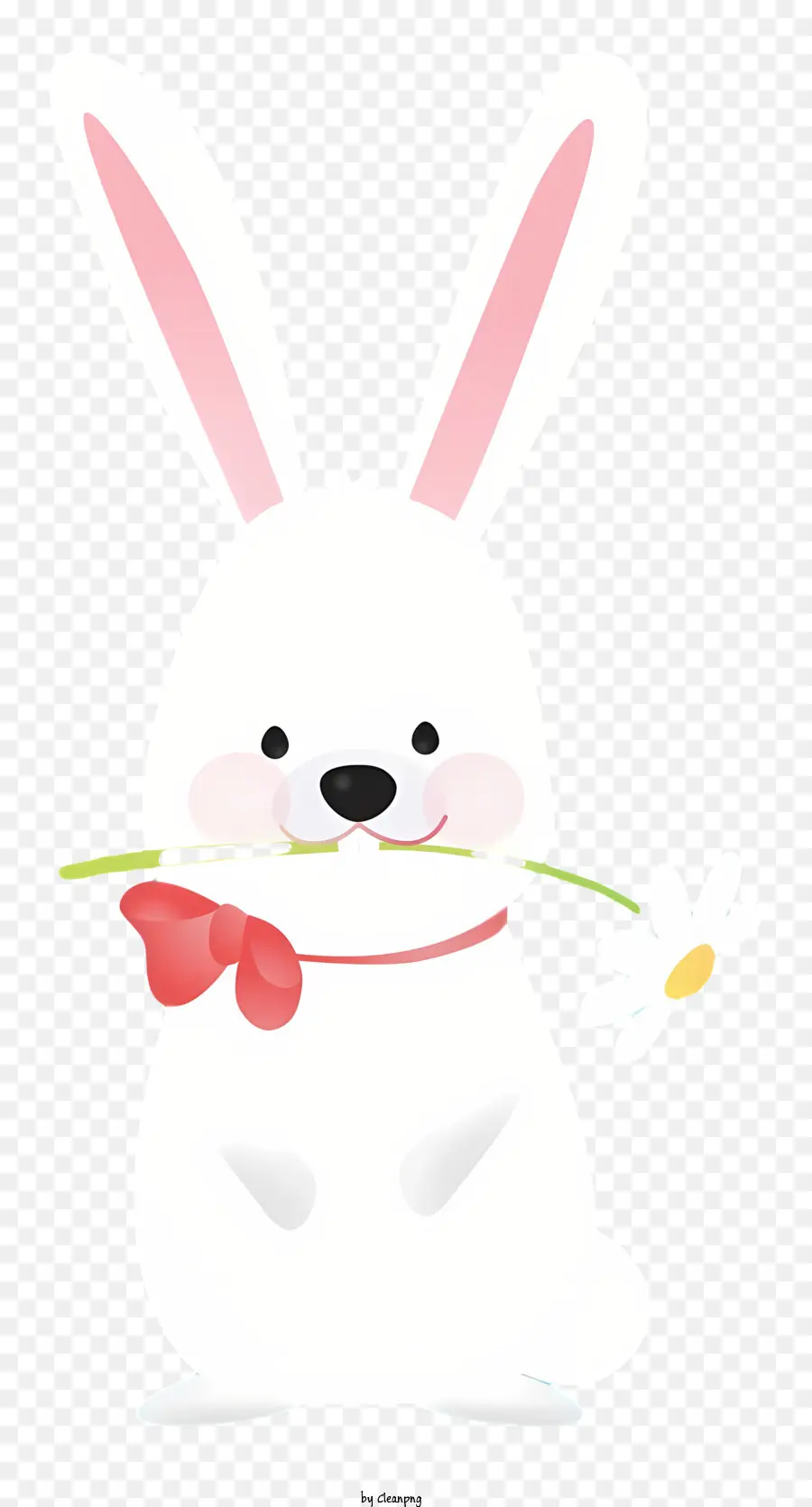 Bunny Face Bunny White Bunny Bunny mit Daisy Bunny auf schwarzem Hintergrund - White Bunny hält Gänseblümchen auf schwarzem Hintergrund