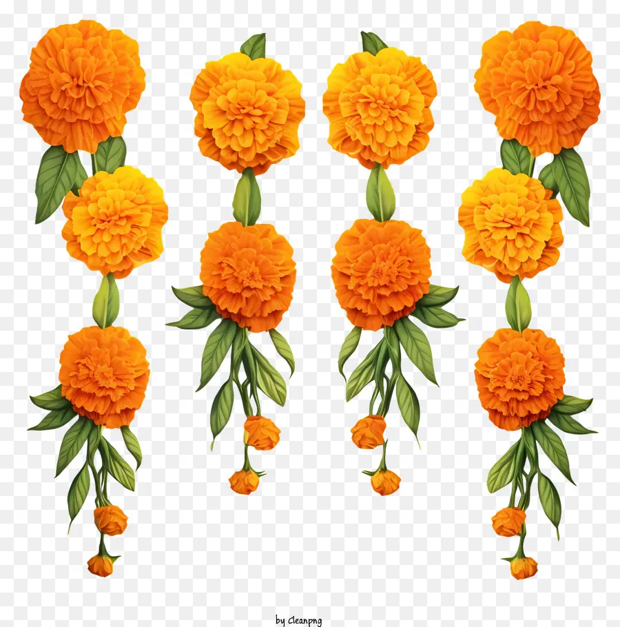 bouquet di fiori - Carnazioni arancioni in vaso su sfondo nero
