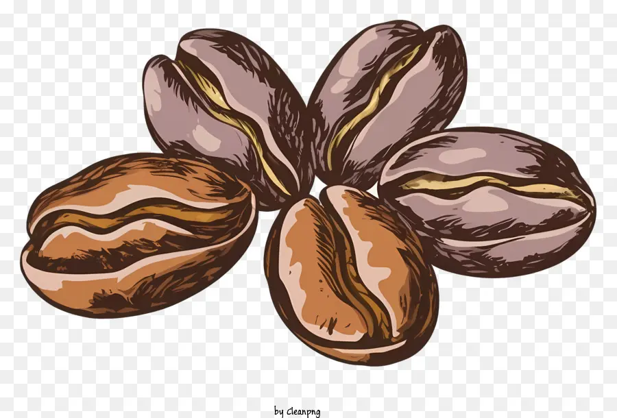 cartoon beans brown beans light brown beans seeds