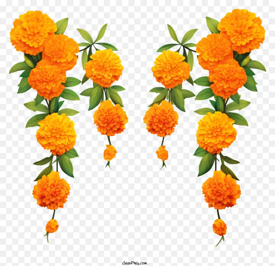hand drawn marigold flower garland orange marigolds bouquet cascading flowers black background