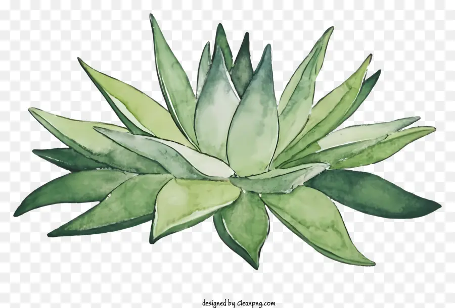 Cartoon Pflanze Aquarellgrüne Blätter kleine weiße Blüten - Aquarellpflanze mit grünen Blättern und weißen Blüten