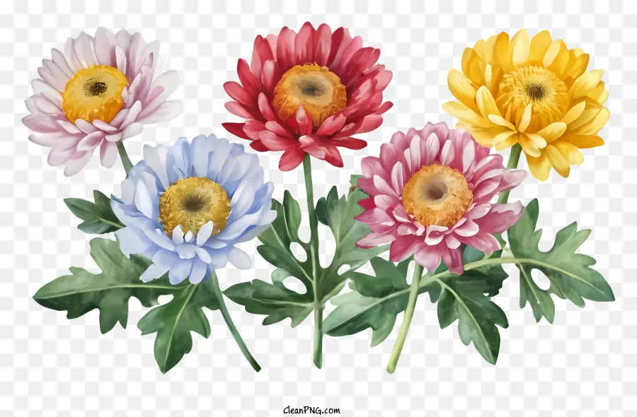 cartoon colorful daisies yellow center blue center flowers