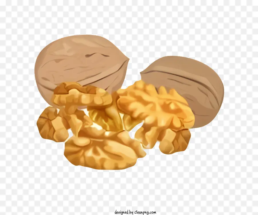 Ngày Bean Walnuts Shelled Walnuts Nut giống hình quả óc chó - Nhóm quả óc chó được sắp xếp trên nền trắng