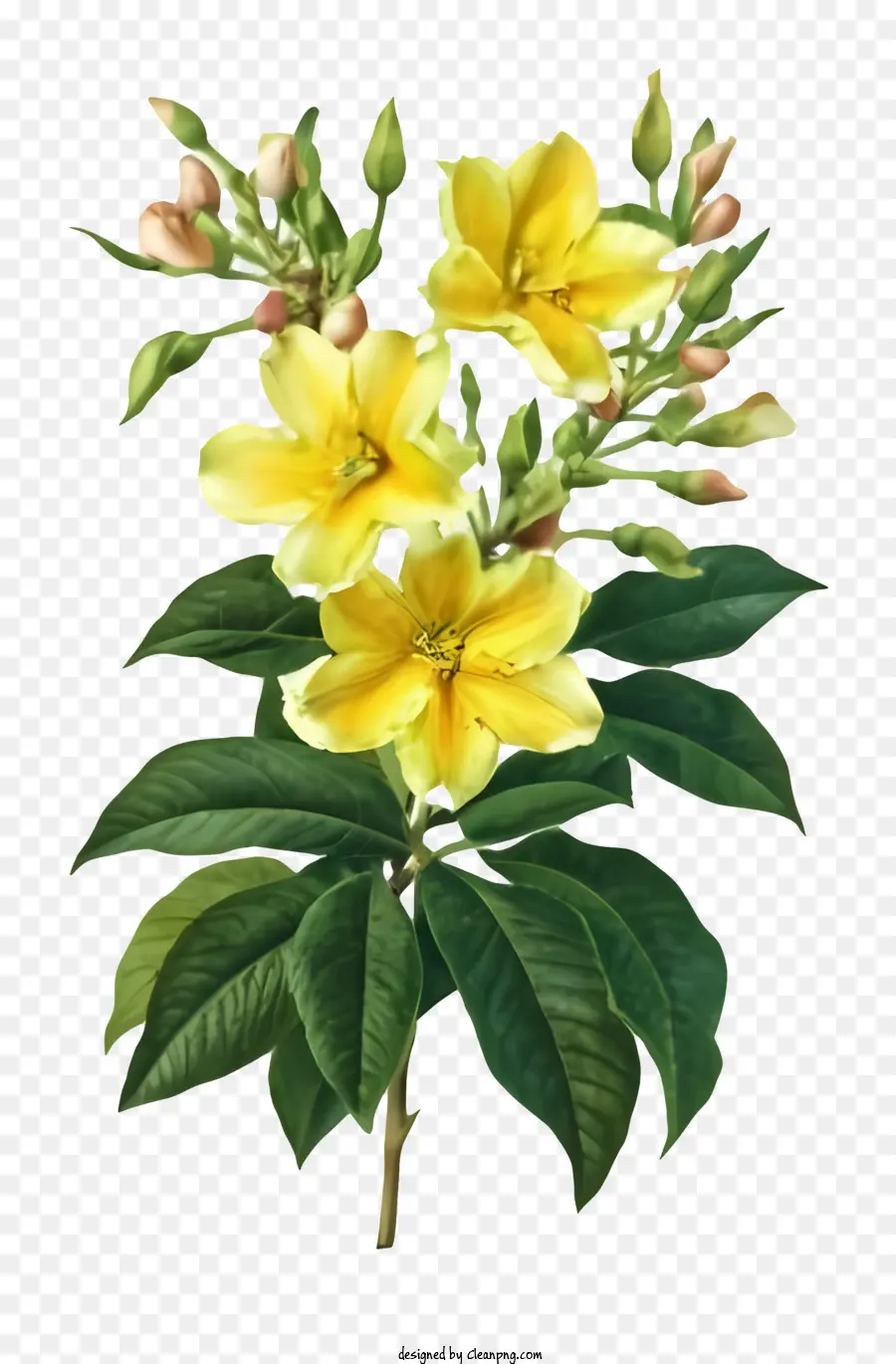 Cartoonblume gelbe Blütenblätter grüner Blätter Stamm - Gelbe Blume auf Stiel mit grünen Blättern