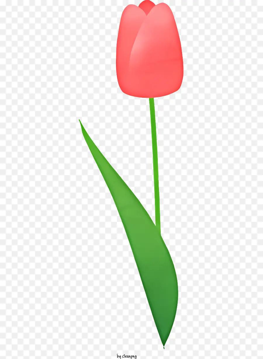 rote Blume - Rote Blume und grünes Blatt mit Knospen