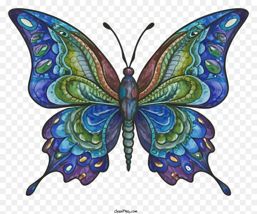 colorato farfalla - Farfalla colorata con ali allargate e trasformazione di antenne