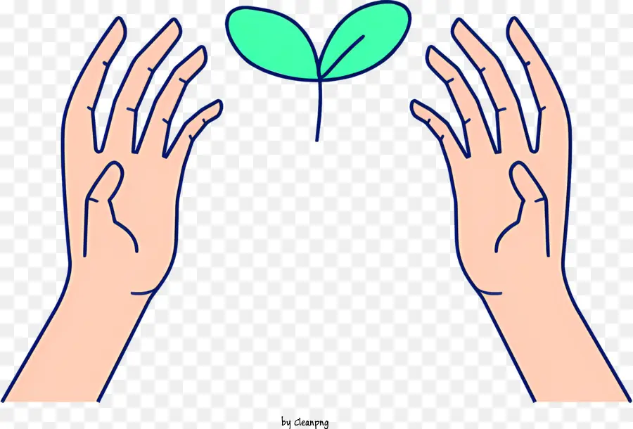 grünes Blatt - Zwei Hände greifen nach kleinem Blatt aus