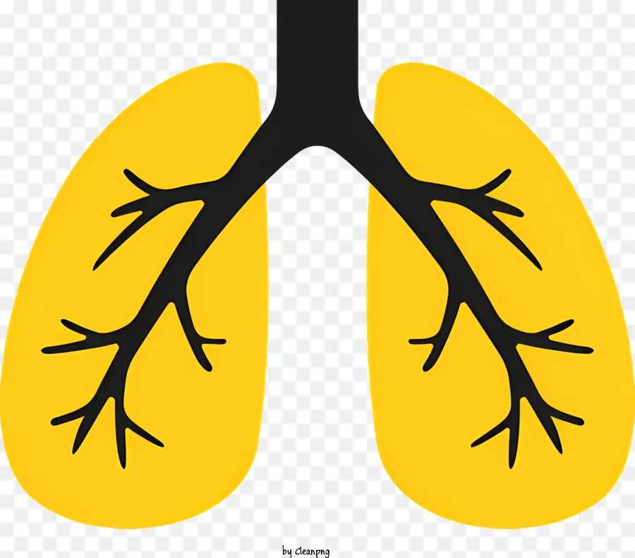 Y tế cấu trúc phân nhánh của cơ quan phổi - Hình ảnh đen và trắng đơn giản của phổi