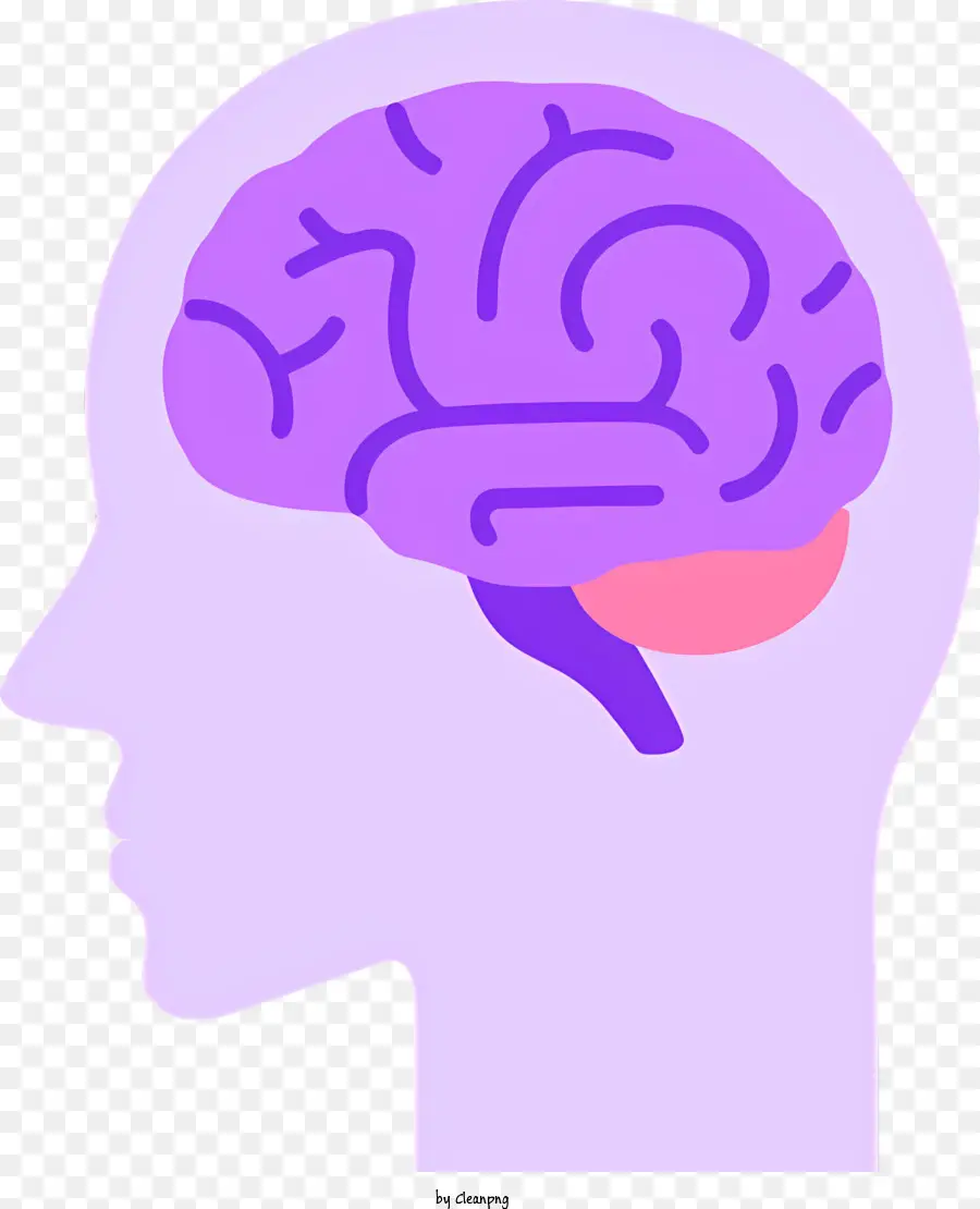 Y tế đầu não người - Đầu với miệng mở, não, đôi mắt nhắm