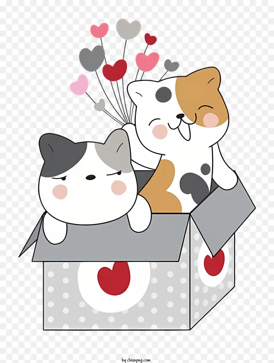 black cat cats sitting in a box smiling cats happy cats heart shaped box