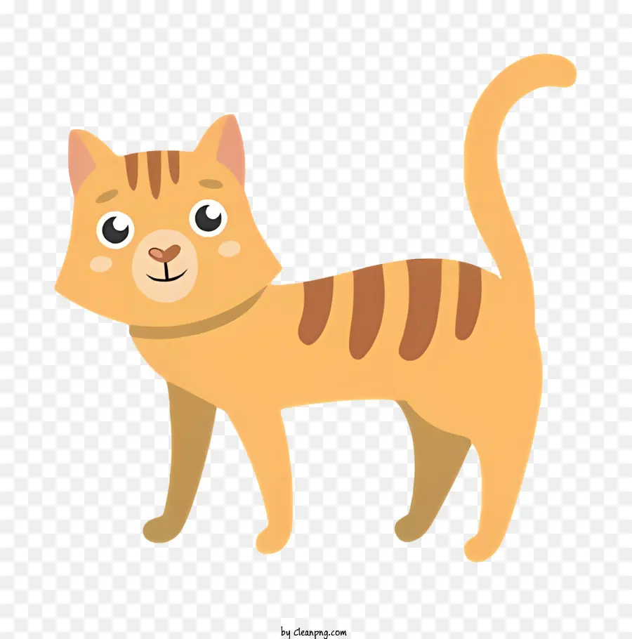 gatto nero gatto arancione faccia bianco viso gatto orecchie nere gatti occhi verdi gatto - Immagine di gatto arancione con viso bianco, zampe e coda; 
Sorridendo e in piedi sulle zampe posteriori