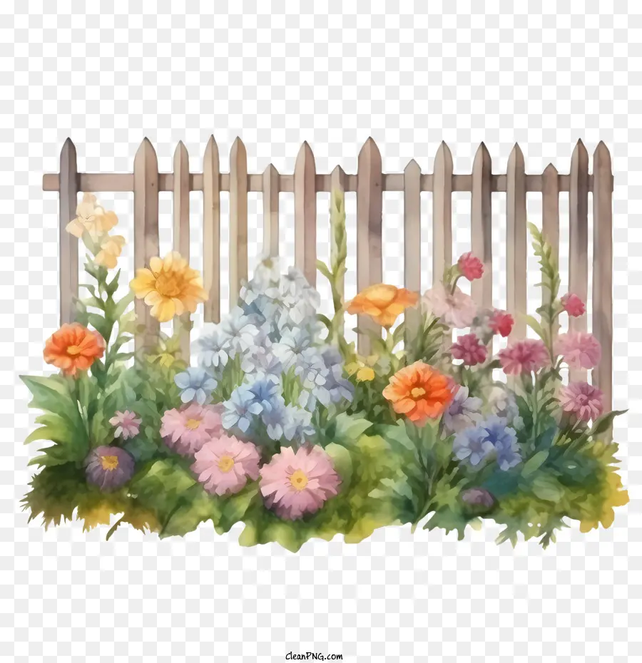wooden garden fence garden flowers watercolor vibrant