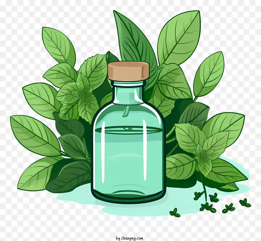 ätherische Öl Minzglasflasche grüne flüssige grüne Blätter - Klare Flasche mit grüner Flüssigkeit, Blättern, Beeren