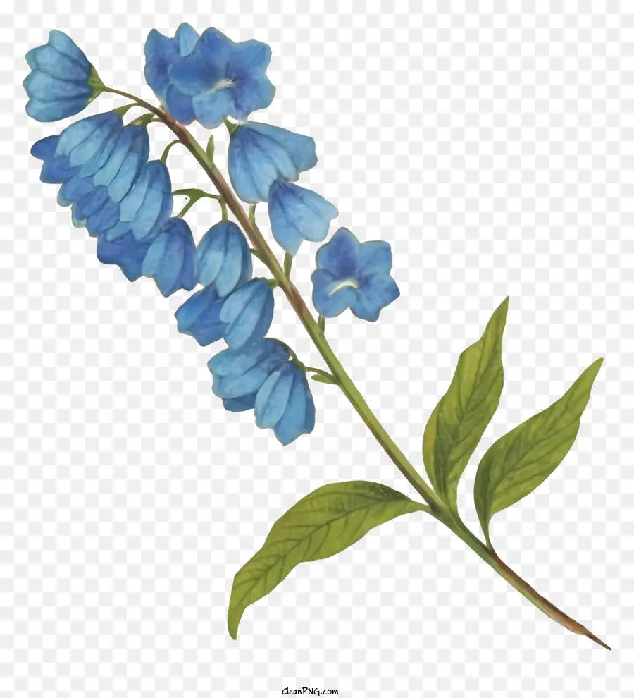 Blaue Blume - Realistisches Gemälde der blauen glockenförmigen Blume