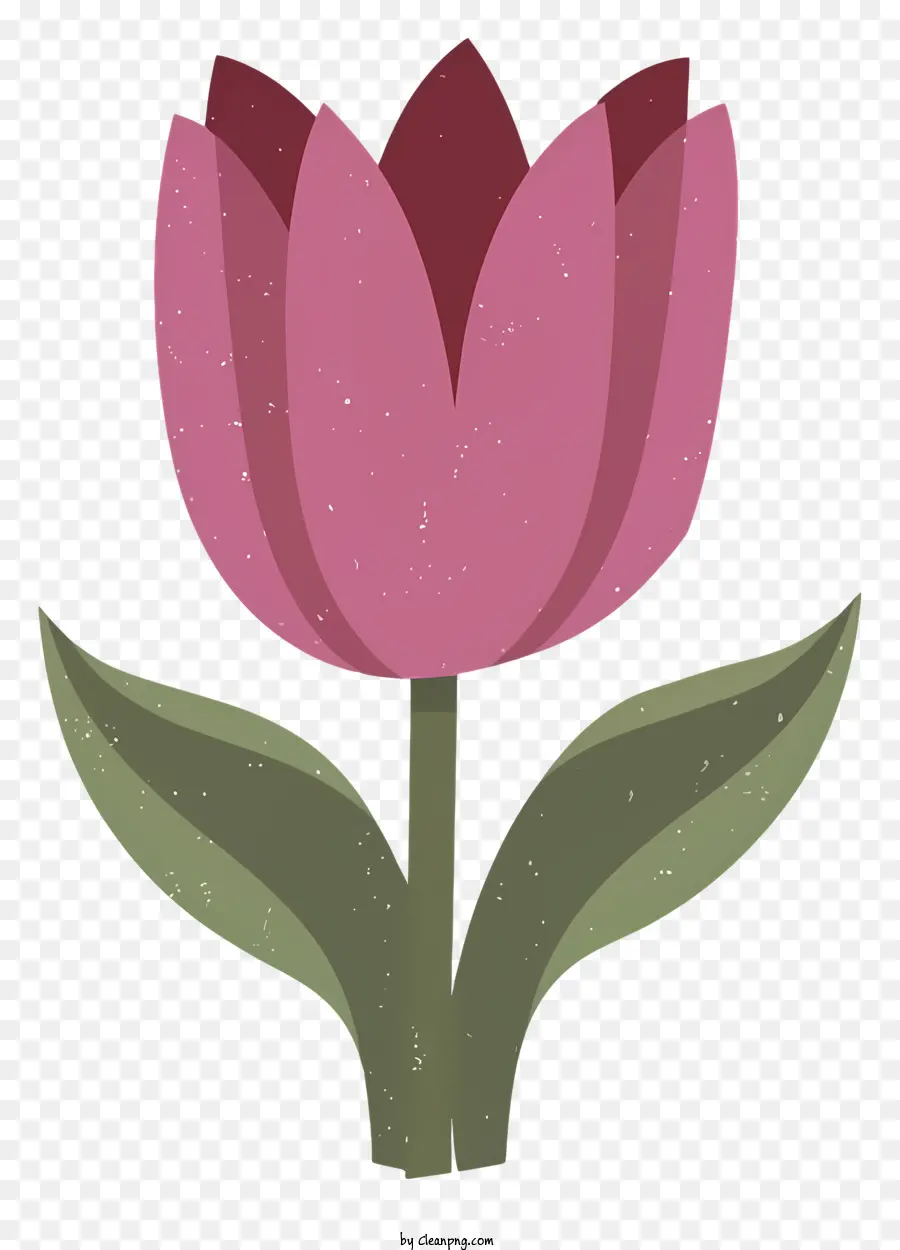 Cartoon rosa Tulpenblütenblätter ausbreiten dünnes Stamm kleines Blatt - Pink Tulp mit Ausbreitblättern auf schwarzem Hintergrund