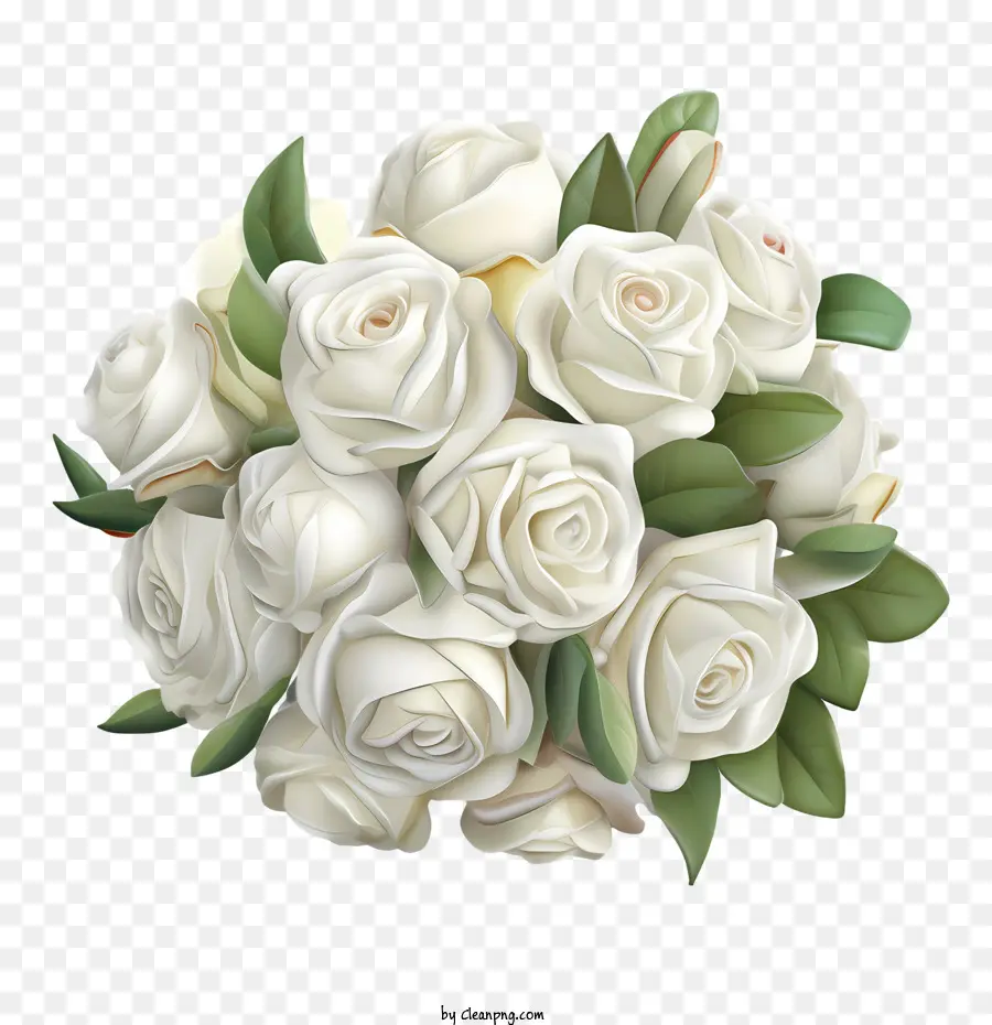 hoa hồng trắng - 