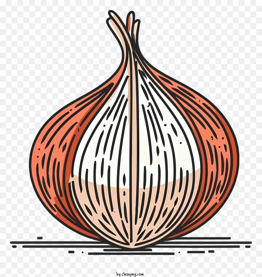 cartoon brown onion red onion bulb rough texture thin skin
