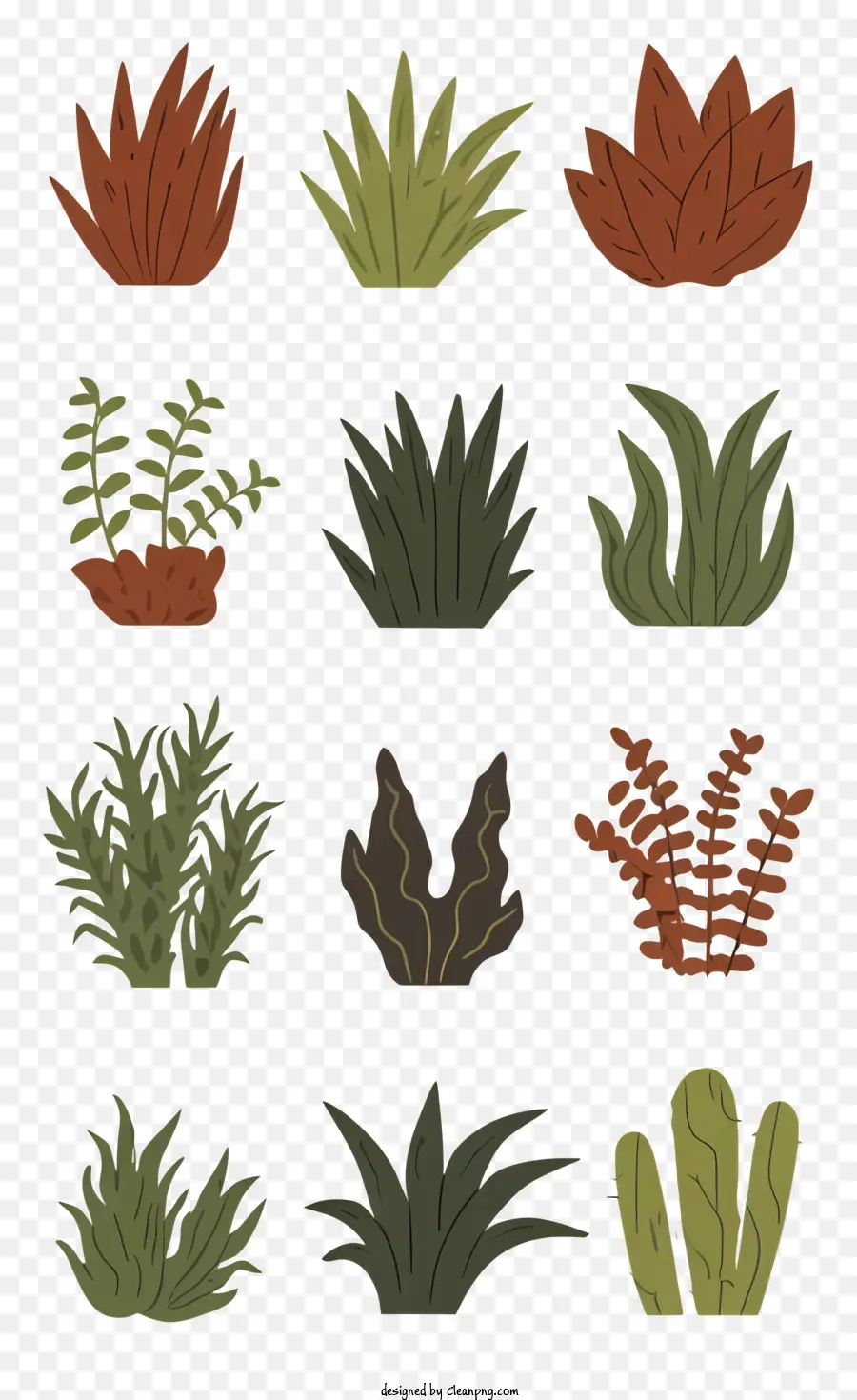 Piante di cartoni animati Cacti Palchi di giardini - Cactus e piante grasse comunemente trovate al chiuso