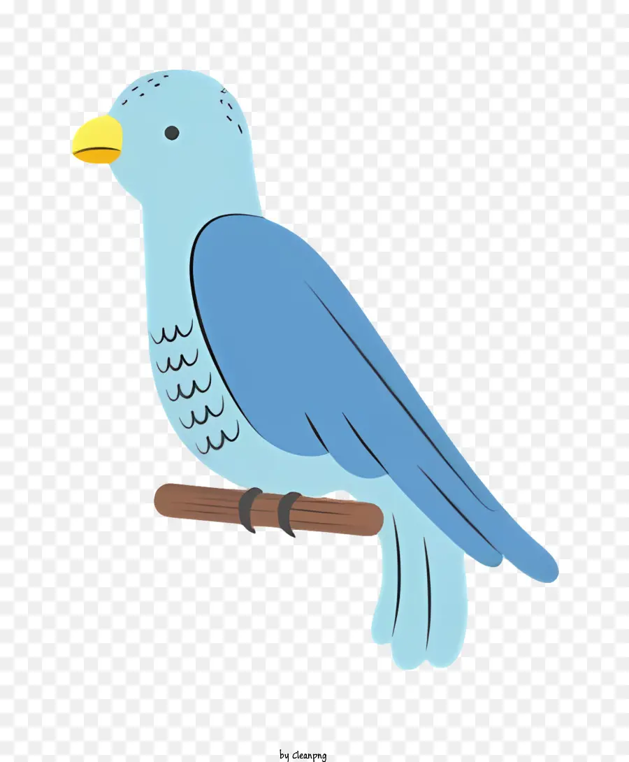 Black Cat Blue Bird Yellow Beak Light Blue Body White Spots - Con chim xanh với mỏ vàng trên cành