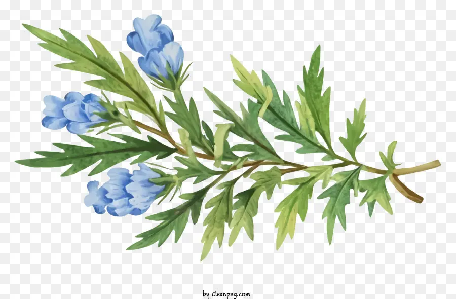 Cartoon Bluebell Blumen Cluster von Blüten stabil gebogene Blätter - Delicat Bluebell Ast mit gebogenen Blättern und Blüten
