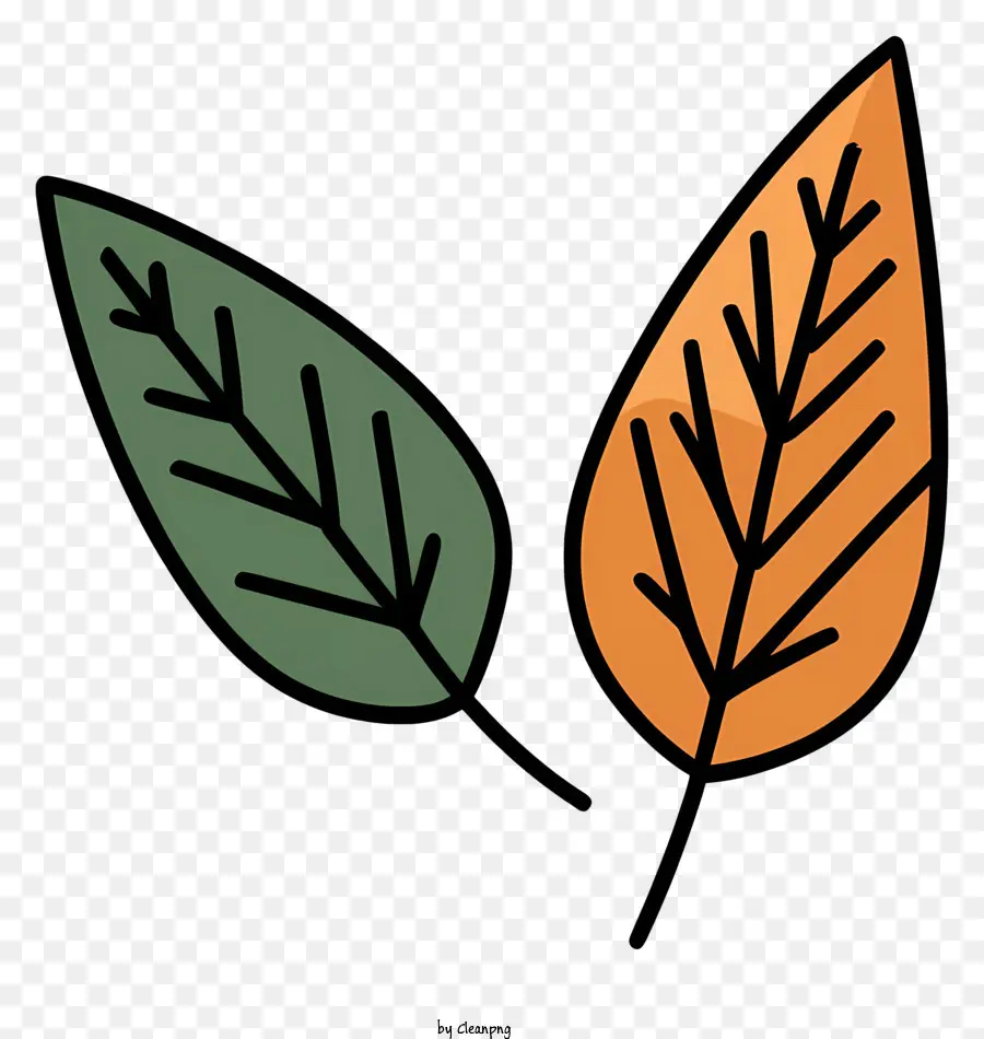 Cartoongrüne Blätter braune Blätter dünne Venen symmetrische Blätter - Symmetrische grüne und braune Blätter auf Schwarz