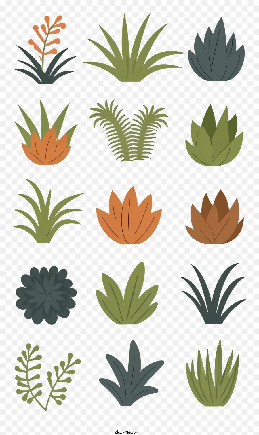 Cartoon Sukkulenten Orangen Sukkulenten grüne Blattpflanzen dunkelgrüne Blätter - Verschiedene Sukkulenten mit lebendigen Blättern und Blüten